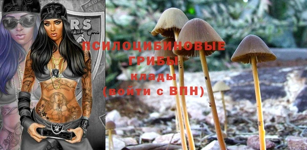 гашик Белоозёрский