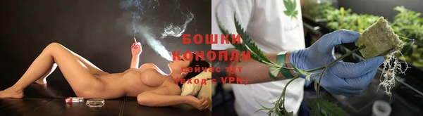 гашик Белоозёрский