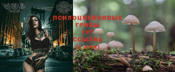 a pvp Беломорск